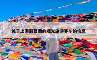 关于上海到西藏的观光旅游客车的信息