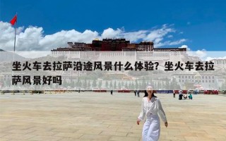 坐火车去拉萨沿途风景什么体验？坐火车去拉萨风景好吗