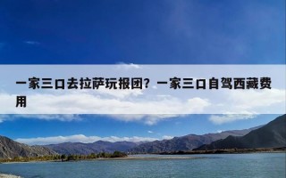 一家三口去拉萨玩报团？一家三口自驾西藏费用