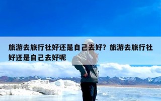 旅游去旅行社好还是自己去好？旅游去旅行社好还是自己去好呢