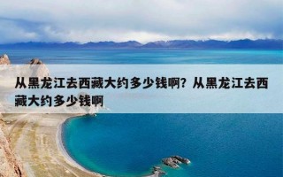 从黑龙江去西藏大约多少钱啊？从黑龙江去西藏大约多少钱啊