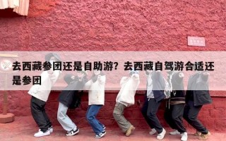 去西藏参团还是自助游？去西藏自驾游合适还是参团