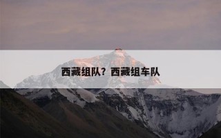 西藏组队？西藏组车队