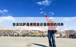 包含拉萨是用现金还是微信的词条