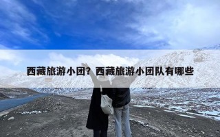 西藏旅游小团？西藏旅游小团队有哪些