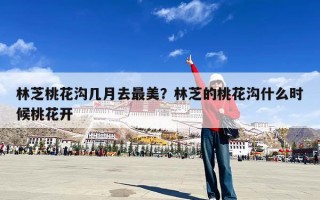 林芝桃花沟几月去最美？林芝的桃花沟什么时候桃花开