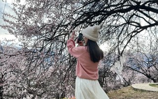 林芝拉萨7天游什么景点必去？拉萨林芝7日游有什么景点值得看？