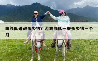 跟领队进藏多少钱？游戏领队一般多少钱一个月