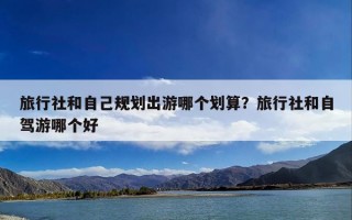 旅行社和自己规划出游哪个划算？旅行社和自驾游哪个好