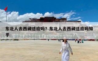 东北人去西藏适应吗？东北人去西藏适应吗知乎