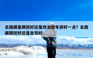 去西藏是跟团好还是找当地导游好一点？去西藏跟团好还是自驾好
