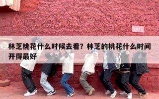 林芝桃花什么时候去看？林芝的桃花什么时间开得最好