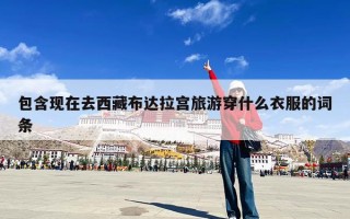 包含现在去西藏布达拉宫旅游穿什么衣服的词条