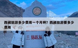 西藏旅游多少费用一个月啊？西藏旅游要多少费用