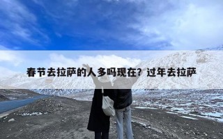 春节去拉萨的人多吗现在？过年去拉萨