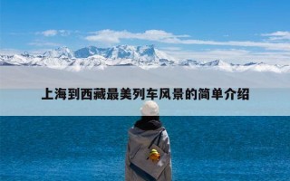 上海到西藏最美列车风景的简单介绍