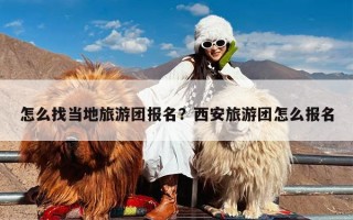 怎么找当地旅游团报名？西安旅游团怎么报名