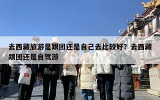 去西藏旅游是跟团还是自己去比较好？去西藏跟团还是自驾游