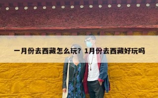 一月份去西藏怎么玩？1月份去西藏好玩吗