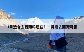 1月适合去西藏吗现在？一月底去西藏可否