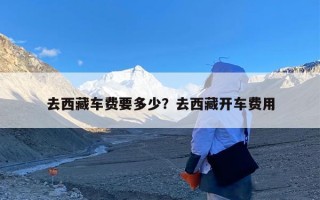 去西藏车费要多少？去西藏开车费用