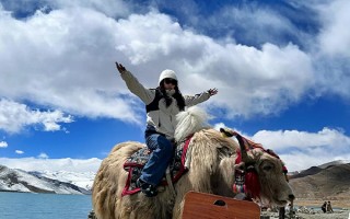 一个人去西藏旅游跟团还是自由行？一个人去西藏是跟团还是选择自由行呢？