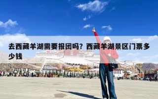 去西藏羊湖需要报团吗？西藏羊湖景区门票多少钱