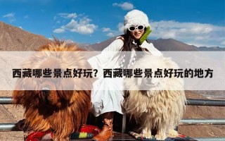 西藏哪些景点好玩？西藏哪些景点好玩的地方