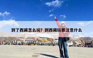 到了西藏怎么玩？到西藏玩要注意什么