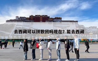 去西藏可以拼散团吗现在？能去西藏
