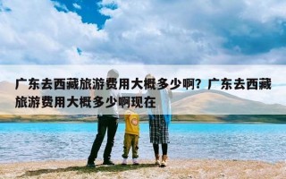 广东去西藏旅游费用大概多少啊？广东去西藏旅游费用大概多少啊现在