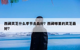 西藏灵芝什么季节去最好？西藏哪里的灵芝最好?
