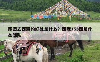 跟团去西藏的好处是什么？西藏353团是什么部队