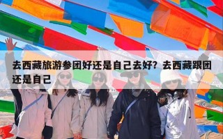 去西藏旅游参团好还是自己去好？去西藏跟团还是自己