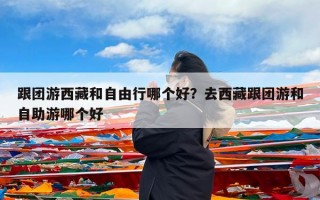 跟团游西藏和自由行哪个好？去西藏跟团游和自助游哪个好