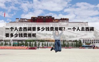 一个人去西藏要多少钱费用呢？一个人去西藏要多少钱费用呢