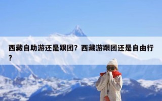 西藏自助游还是跟团？西藏游跟团还是自由行?