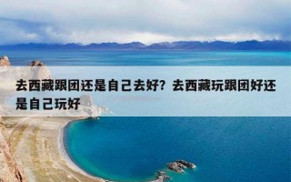 去西藏跟团还是自己去好？去西藏玩跟团好还是自己玩好