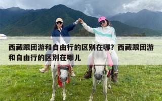 西藏跟团游和自由行的区别在哪？西藏跟团游和自由行的区别在哪儿