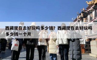 西藏现在去好玩吗多少钱？西藏现在去好玩吗多少钱一个月