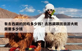 有去西藏的团吗多少钱？去西藏跟团旅游大概需要多少钱