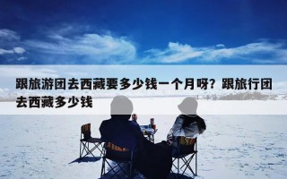 跟旅游团去西藏要多少钱一个月呀？跟旅行团去西藏多少钱