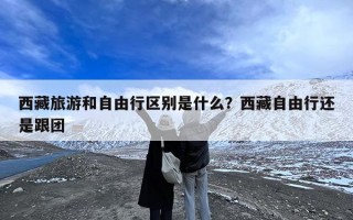 西藏旅游和自由行区别是什么？西藏自由行还是跟团