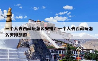 一个人去西藏玩怎么安排？一个人去西藏玩怎么安排旅游