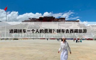 进藏拼车一个人的费用？拼车去西藏旅游