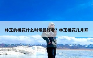 林芝的桃花什么时候最好看？林芝桃花几月开