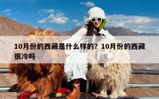 10月份的西藏是什么样的？10月份的西藏很冷吗