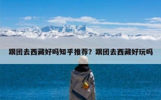 跟团去西藏好吗知乎推荐？跟团去西藏好玩吗