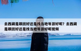 去西藏是跟团好还是找当地导游好呢？去西藏是跟团好还是找当地导游好呢视频