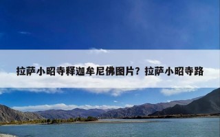 拉萨小昭寺释迦牟尼佛图片？拉萨小昭寺路